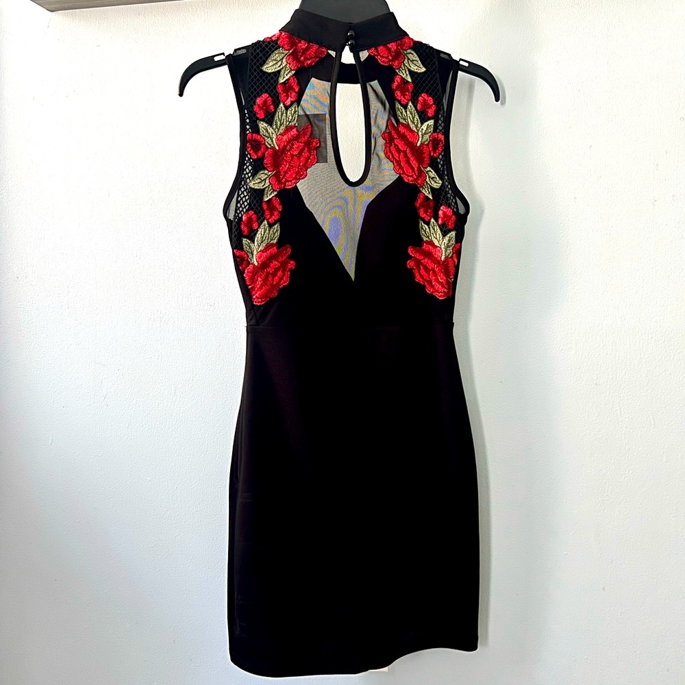 Privy Rose Embroidered Black Mesh Mini Dress